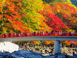 Kourankei Gorge เมือง Toyoda City จังหวัด Aichi